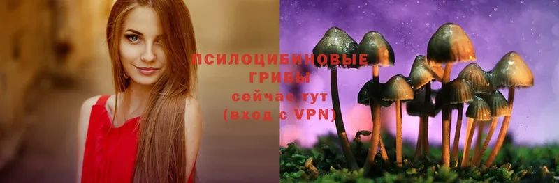 даркнет сайт  дарк нет как зайти  Галлюциногенные грибы Magic Shrooms  Дальнегорск 